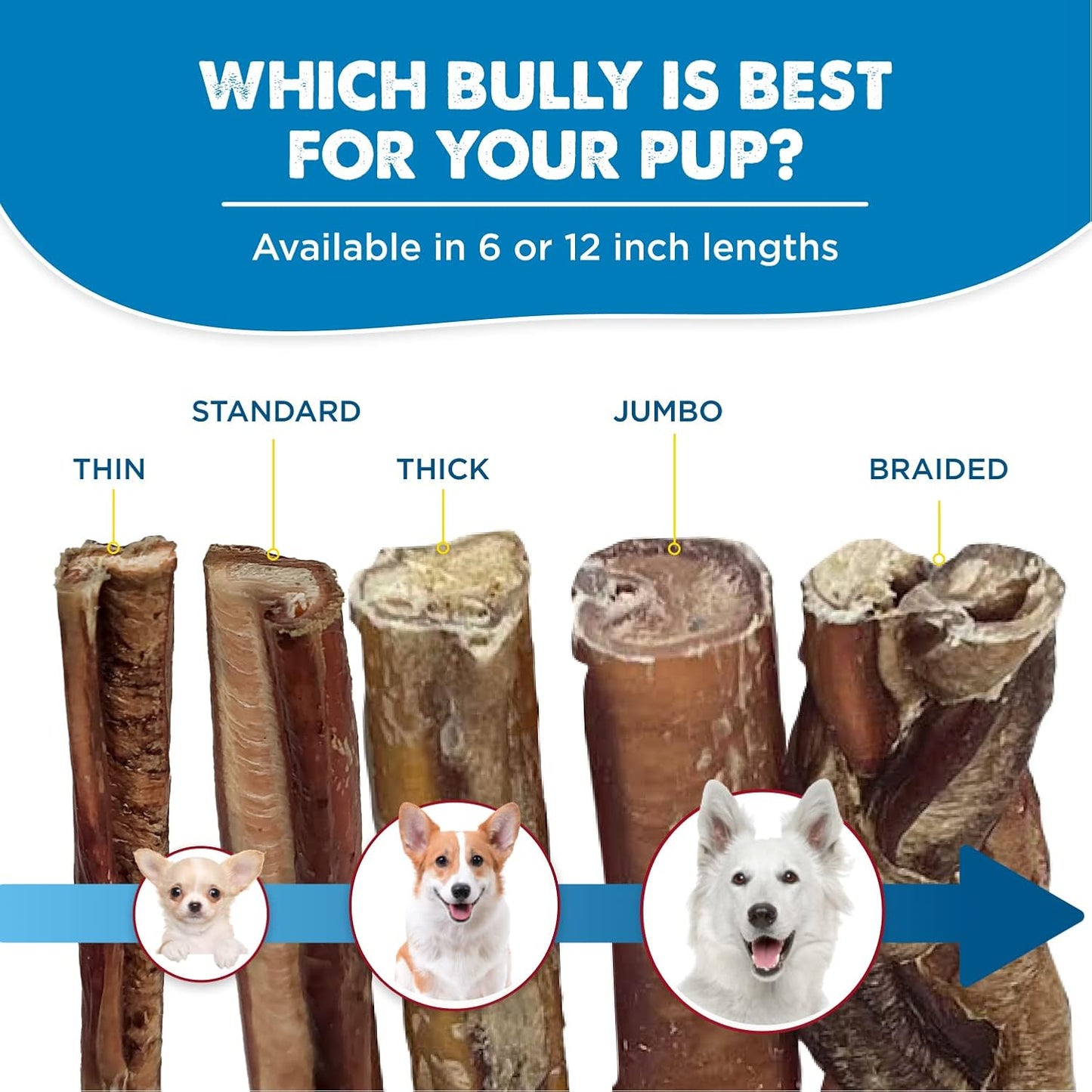 Best Bully Sticks 12 Inch Bully Sticks for Dogs - 50 Count (Pack of 1) - Natural, Easily Digestible, 100% Grass-Fed Beef, Grain and Rawhide Free